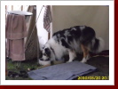 Klicken Sie auf das Bild, um es zu vergr&ouml;&szlig;ern