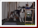 Klicken Sie auf das Bild, um es zu vergr&ouml;&szlig;ern