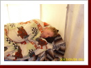 Klicken Sie auf das Bild, um es zu vergr&ouml;&szlig;ern