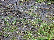 DSC00362.jpg