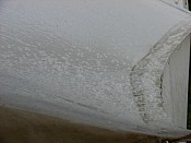 DSC00364.jpg