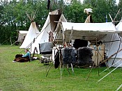 DSC00376.jpg